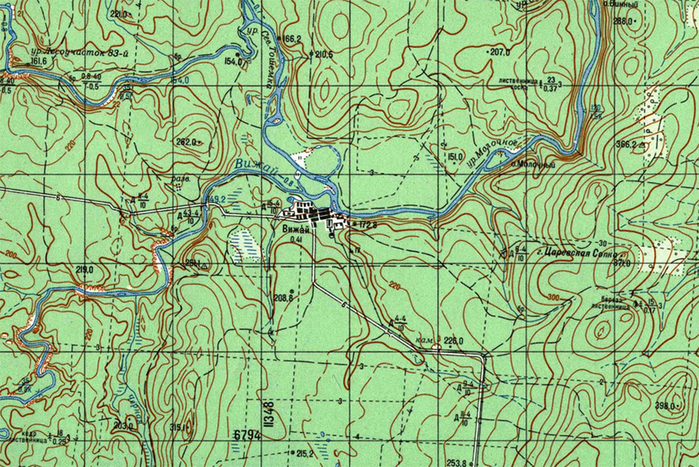 Карта поселка Вижай